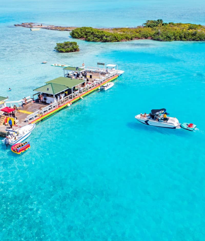 The Noah's Ark Celebration voyage